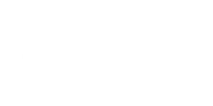 Debtfusion Web Logo-2
