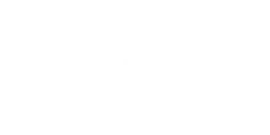 INPI Web Logo-2